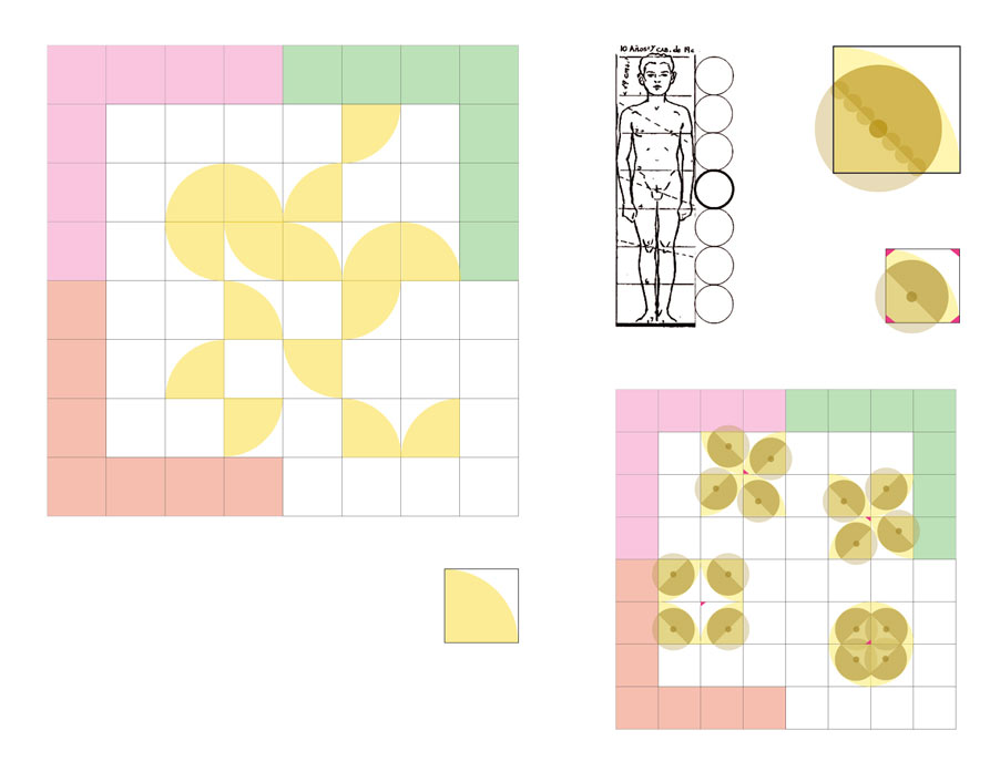 Cell - Modular Study